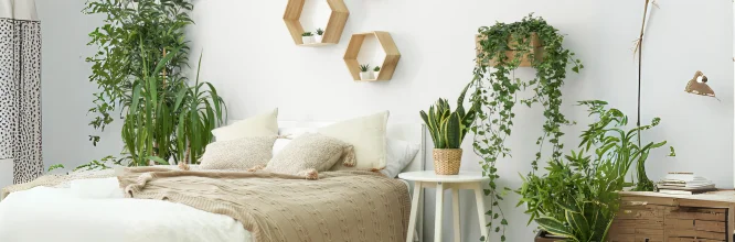 decorar dormitorio con plantas